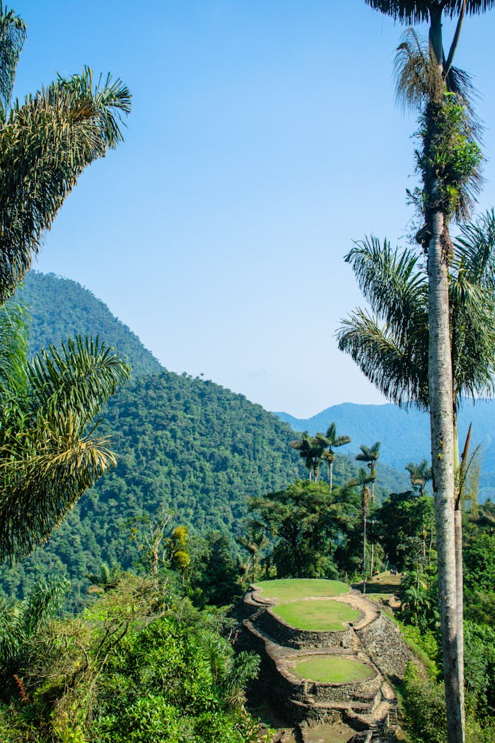 Explore the breathtaking landscapes of Ciudad Perdida, Colombia's lost city, surrounded by lush nature.